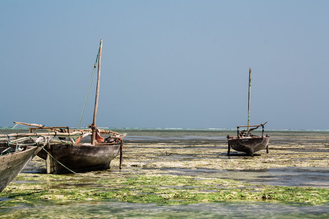 Nungwi Beach Zanzibar 21