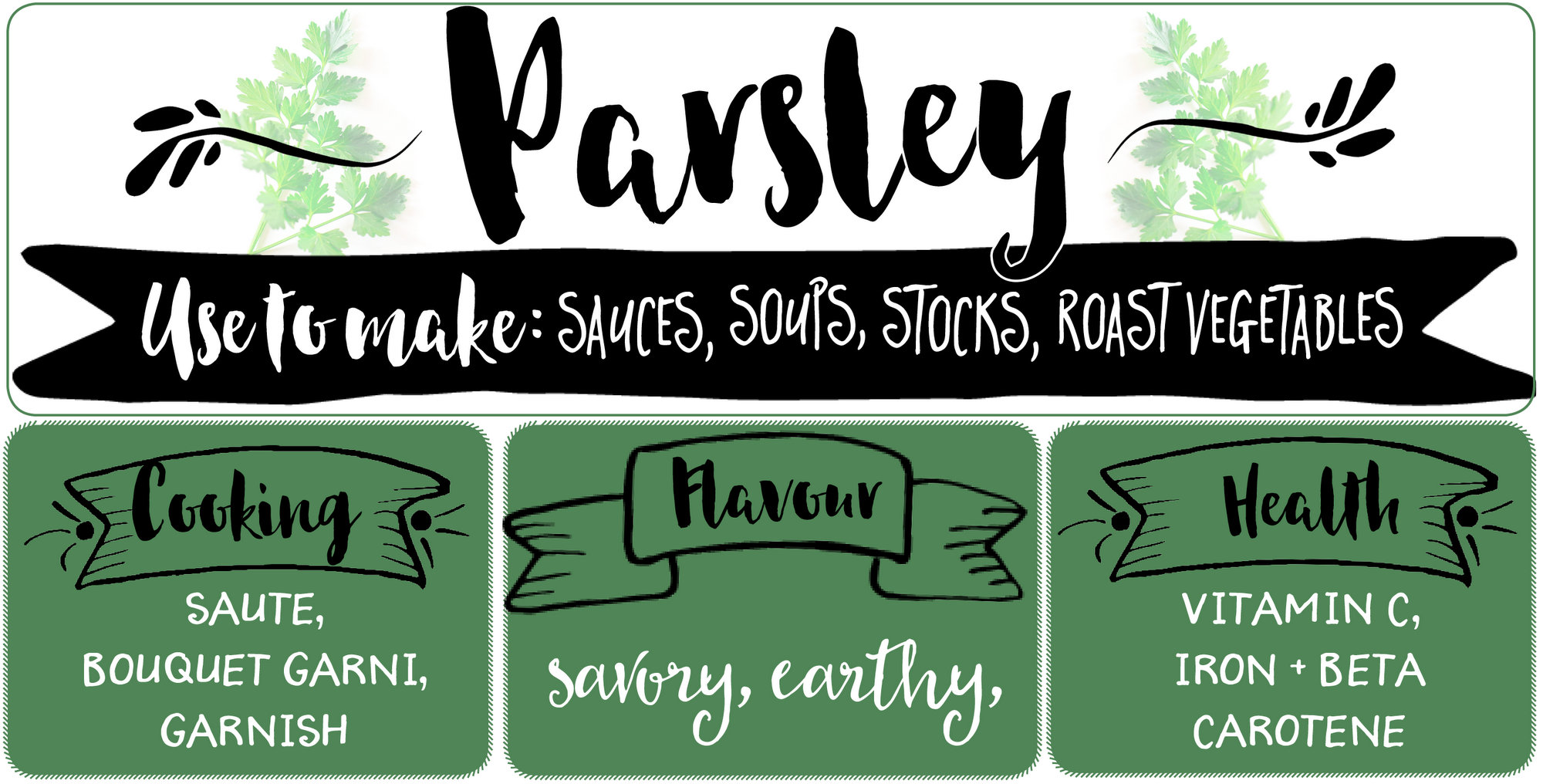 How to Use Parsley in Cooking (like a boss)