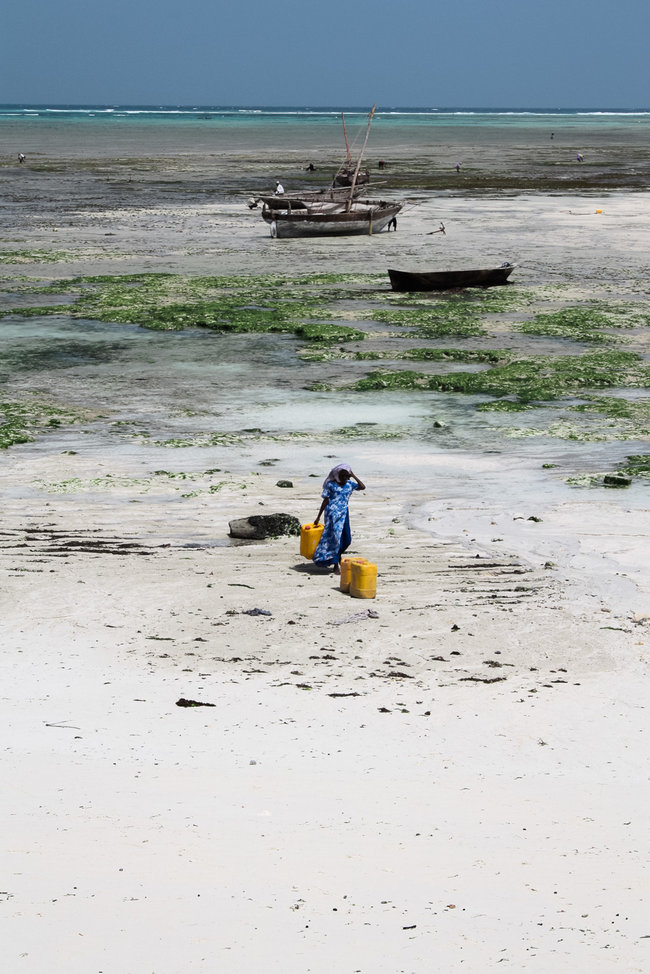 Nungwi Beach Zanzibar 1