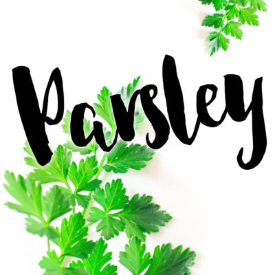 How to Use Parsley in Cooking