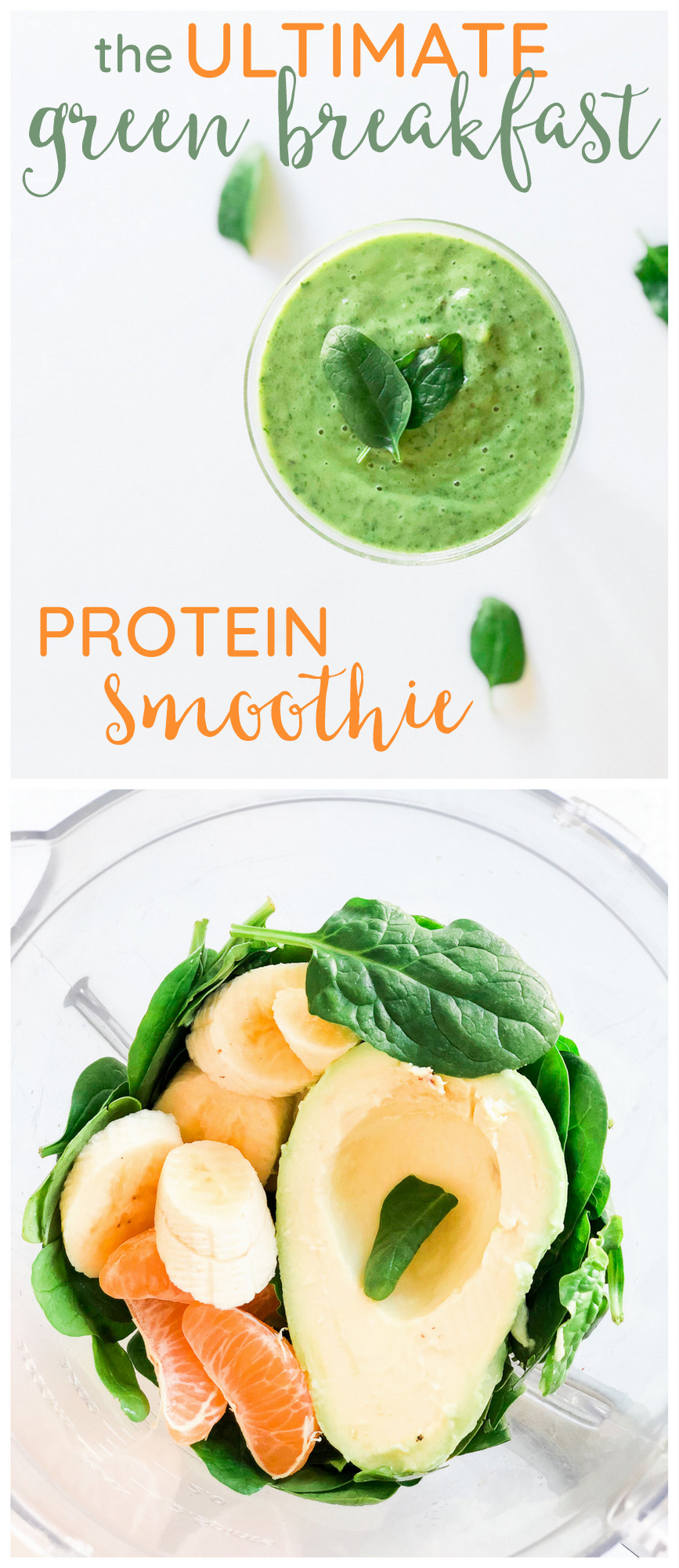 The Ultimate Green Protein avocado breakfast smoothie recipe